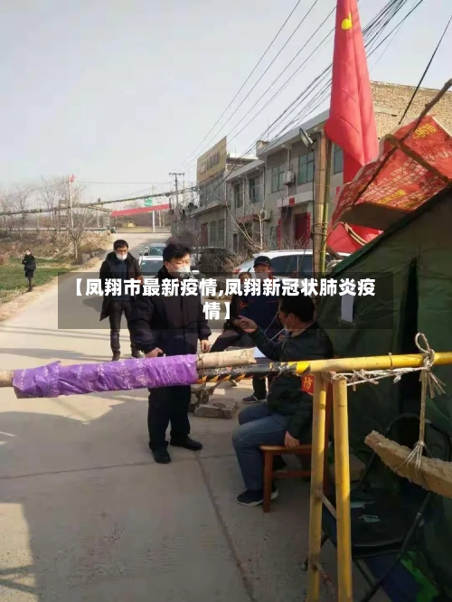 【凤翔市最新疫情,凤翔新冠状肺炎疫情】-第2张图片
