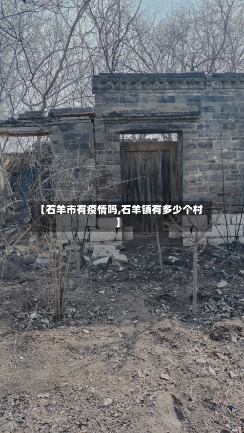 【石羊市有疫情吗,石羊镇有多少个村】-第1张图片