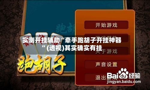 实测开挂辅助“牵手跑胡子开挂神器”(透视)其实确实有挂-第1张图片