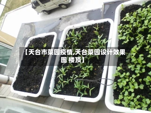 【天台市菜园疫情,天台菜园设计效果图 楼顶】-第2张图片