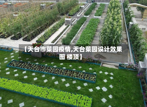 【天台市菜园疫情,天台菜园设计效果图 楼顶】-第1张图片