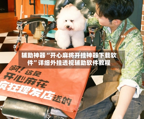 辅助神器“开心麻将开挂神器下载软件”详细外挂透视辅助软件教程-第3张图片