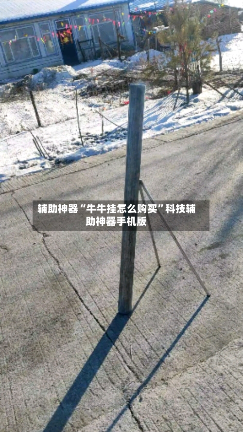 辅助神器“牛牛挂怎么购买	”科技辅助神器手机版-第2张图片