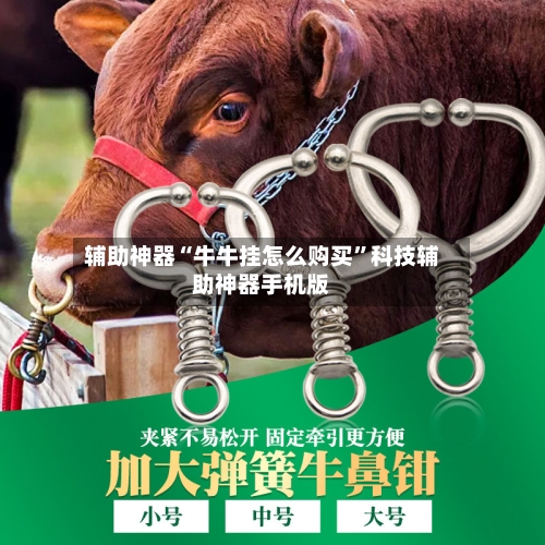 辅助神器“牛牛挂怎么购买”科技辅助神器手机版-第1张图片