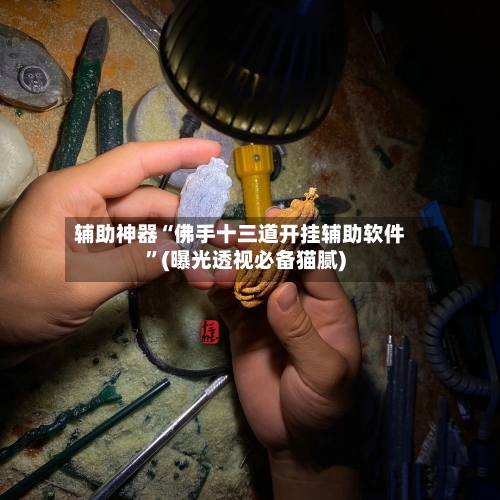 辅助神器“佛手十三道开挂辅助软件”(曝光透视必备猫腻)-第3张图片