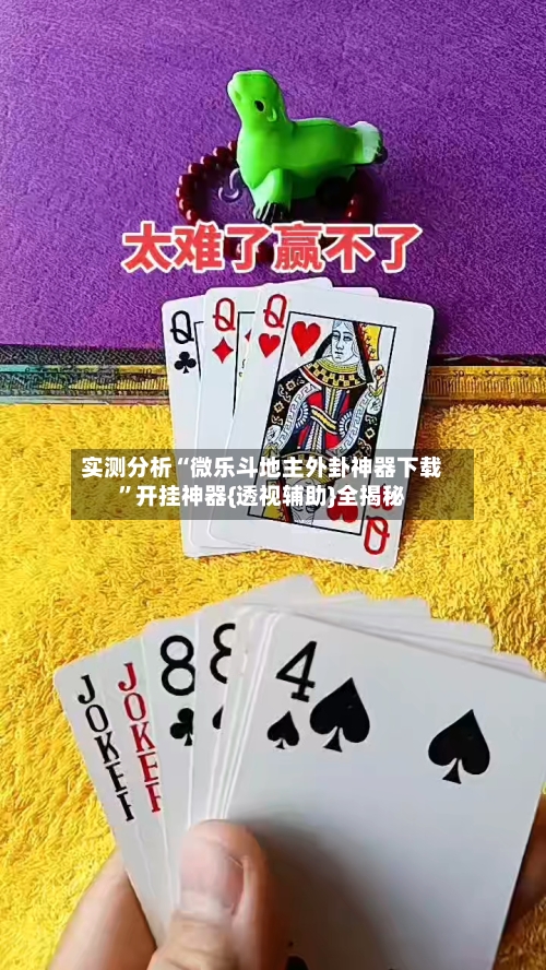 实测分析“微乐斗地主外卦神器下载”开挂神器{透视辅助}全揭秘-第2张图片