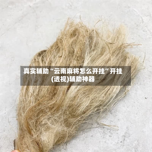 真实辅助“云南麻将怎么开挂”开挂(透视)辅助神器-第1张图片