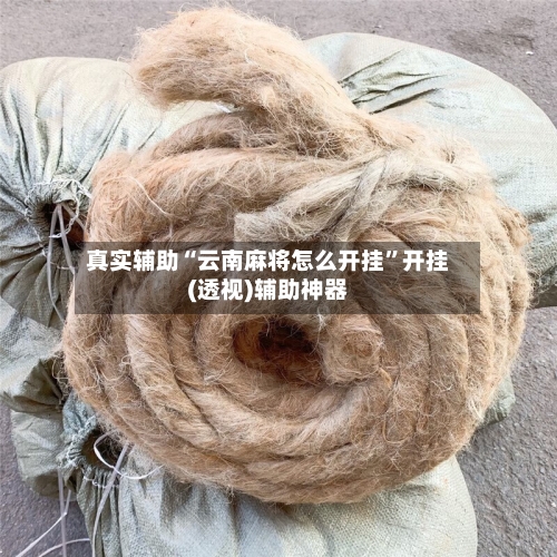 真实辅助“云南麻将怎么开挂”开挂(透视)辅助神器-第2张图片