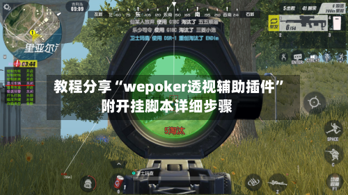 教程分享“wepoker透视辅助插件”附开挂脚本详细步骤-第1张图片