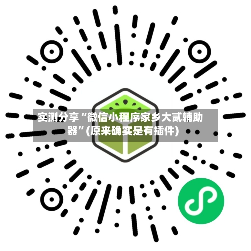 实测分享“微信小程序家乡大贰辅助器”(原来确实是有插件)-第3张图片