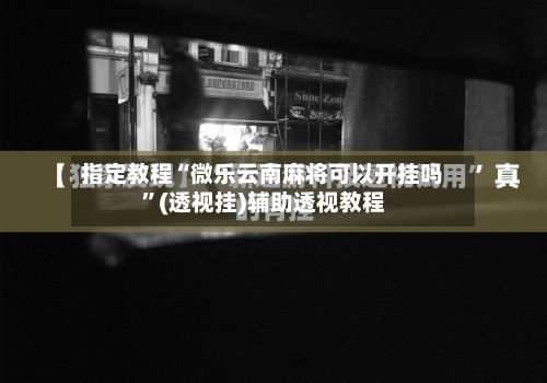指定教程“微乐云南麻将可以开挂吗	”(透视挂)辅助透视教程-第2张图片