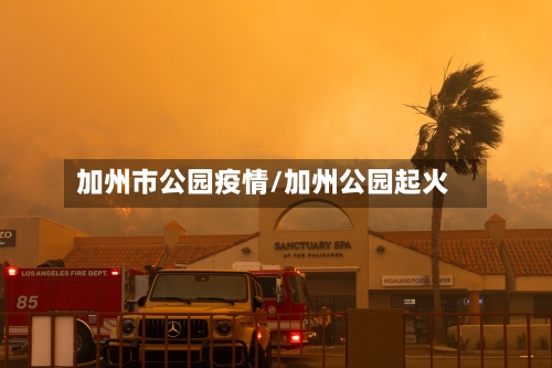 加州市公园疫情/加州公园起火-第1张图片