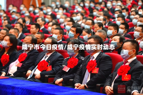 咸宁市今日疫情/咸宁疫情实时动态-第2张图片