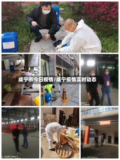 咸宁市今日疫情/咸宁疫情实时动态-第1张图片