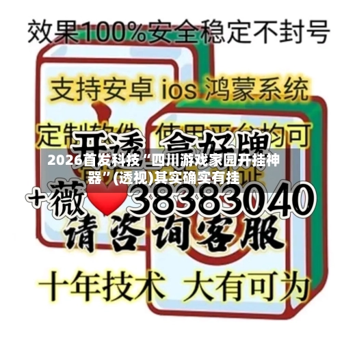 2026首发科技“四川游戏家园开挂神器”(透视)其实确实有挂-第1张图片