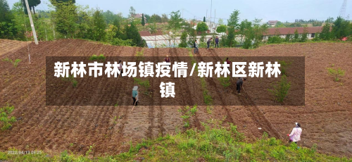 新林市林场镇疫情/新林区新林镇-第2张图片