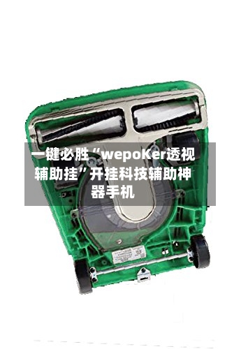 一键必胜“wepoKer透视辅助挂”开挂科技辅助神器手机-第2张图片