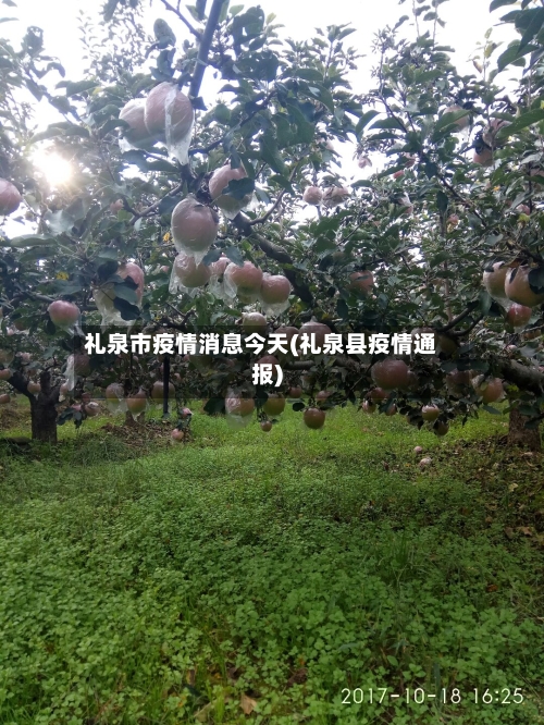礼泉市疫情消息今天(礼泉县疫情通报)-第2张图片
