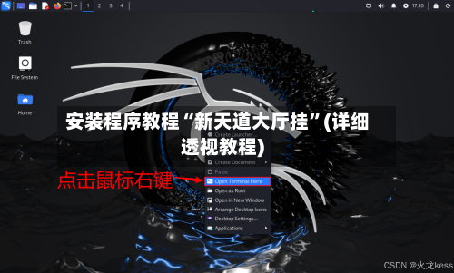 安装程序教程“新天道大厅挂”(详细透视教程)-第2张图片