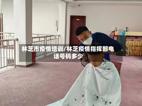 林芝市疫情培训/林芝疫情指挥部电话号码多少-第1张图片