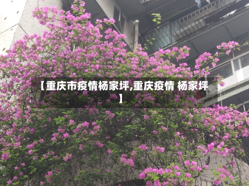 【重庆市疫情杨家坪,重庆疫情 杨家坪】-第1张图片