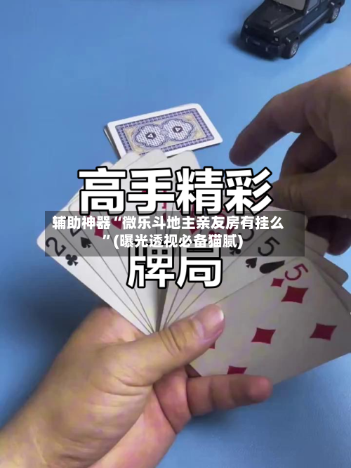 辅助神器“微乐斗地主亲友房有挂么”(曝光透视必备猫腻)-第2张图片