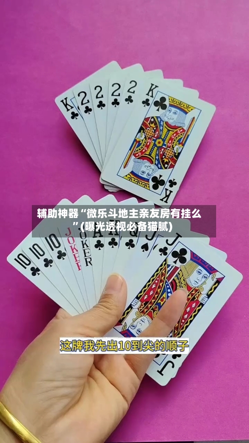 辅助神器“微乐斗地主亲友房有挂么”(曝光透视必备猫腻)-第1张图片