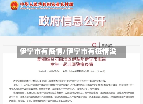 伊宁市有疫情/伊宁市有疫情没-第3张图片