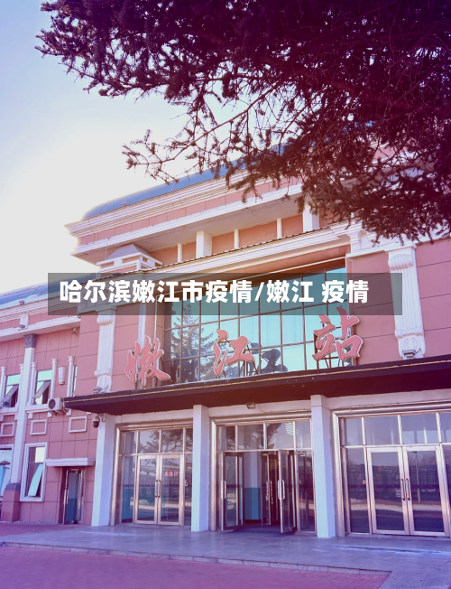 哈尔滨嫩江市疫情/嫩江 疫情-第2张图片