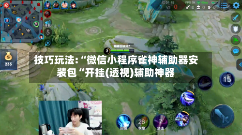 技巧玩法:“微信小程序雀神辅助器安装包“开挂(透视)辅助神器-第1张图片