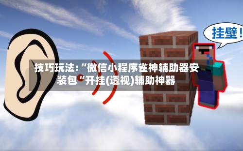技巧玩法:“微信小程序雀神辅助器安装包“开挂(透视)辅助神器-第2张图片