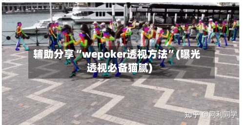 辅助分享“wepoker透视方法”(曝光透视必备猫腻)-第2张图片