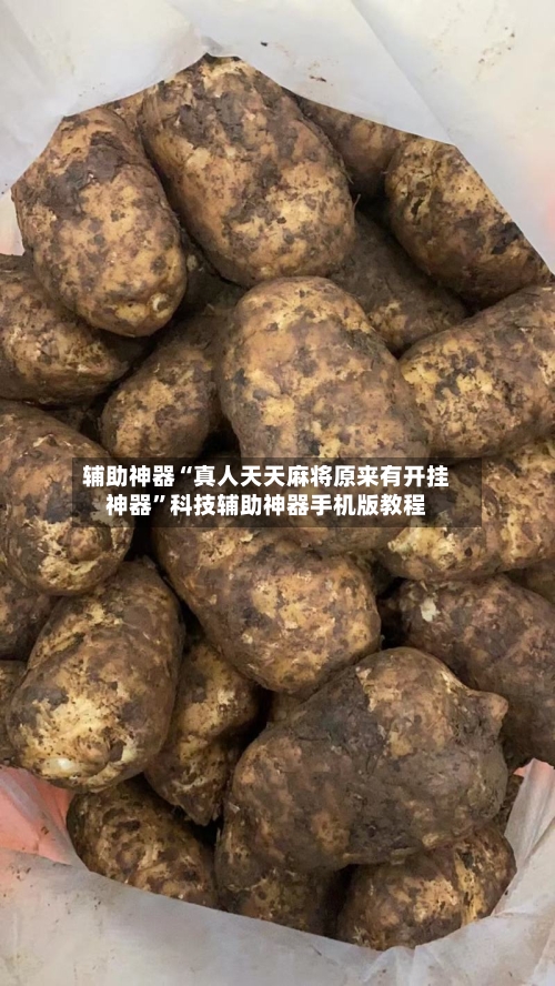 辅助神器“真人天天麻将原来有开挂神器”科技辅助神器手机版教程-第1张图片