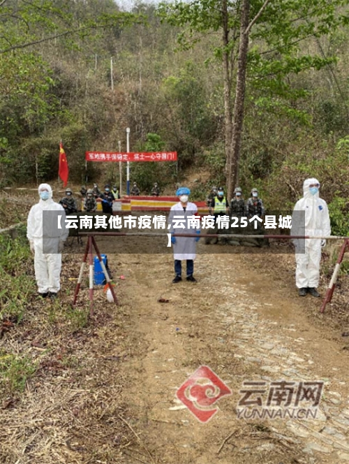 【云南其他市疫情,云南疫情25个县城】-第2张图片