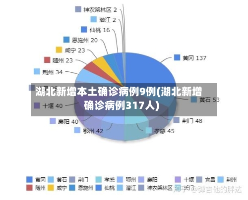 湖北新增本土确诊病例9例(湖北新增确诊病例317人)-第3张图片