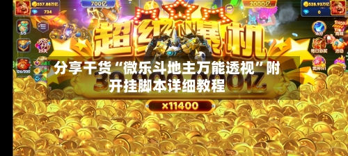 分享干货“微乐斗地主万能透视”附开挂脚本详细教程-第2张图片