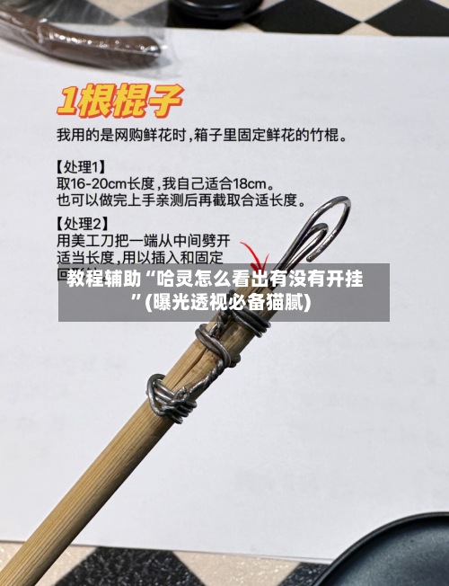 教程辅助“哈灵怎么看出有没有开挂	”(曝光透视必备猫腻)-第1张图片