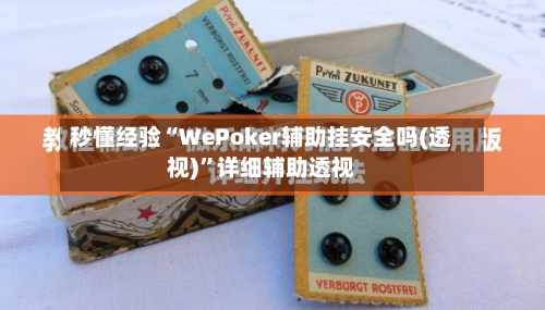 秒懂经验“WePoker辅助挂安全吗(透视)	”详细辅助透视-第1张图片