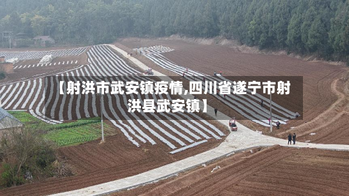 【射洪市武安镇疫情,四川省遂宁市射洪县武安镇】-第3张图片