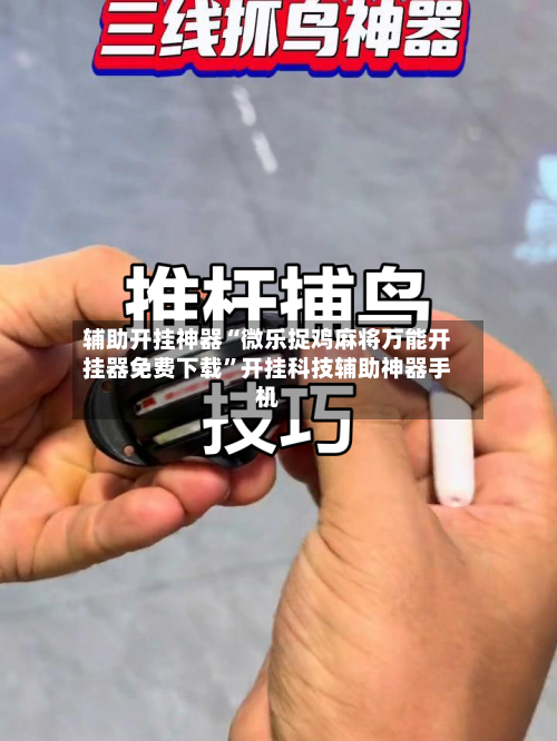 辅助开挂神器“微乐捉鸡麻将万能开挂器免费下载”开挂科技辅助神器手机-第2张图片