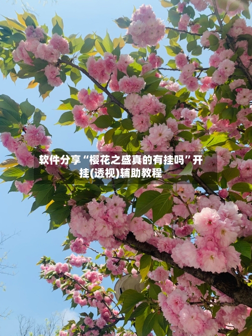 软件分享“樱花之盛真的有挂吗”开挂(透视)辅助教程-第1张图片