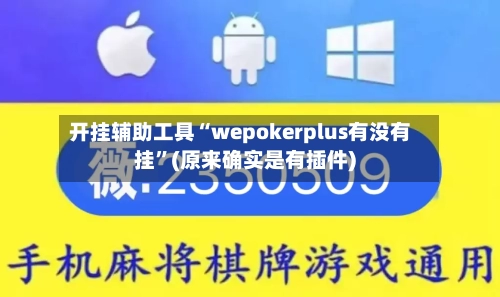 开挂辅助工具“wepokerplus有没有挂”(原来确实是有插件)-第3张图片