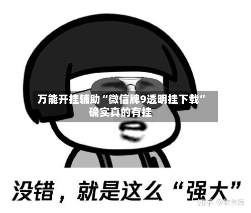 万能开挂辅助“微信牌9透明挂下载	”确实真的有挂-第2张图片