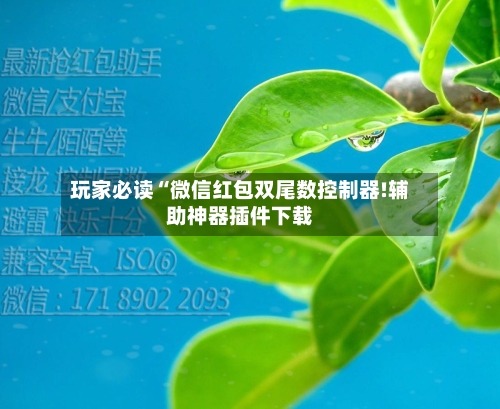 玩家必读“微信红包双尾数控制器!辅助神器插件下载-第1张图片
