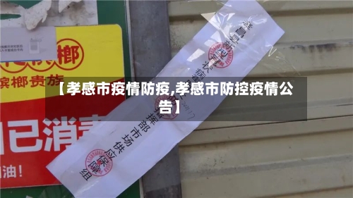 【孝感市疫情防疫,孝感市防控疫情公告】-第3张图片