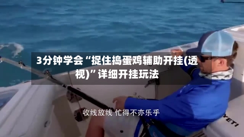 3分钟学会“捉住捣蛋鸡辅助开挂(透视)	”详细开挂玩法-第2张图片