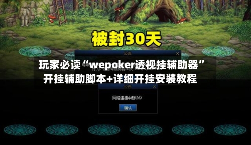 玩家必读“wepoker透视挂辅助器	”开挂辅助脚本+详细开挂安装教程-第3张图片