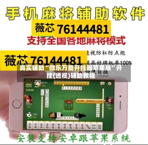 真实辅助“微乐万能开挂器苹果版	”开挂(透视)辅助教程-第3张图片
