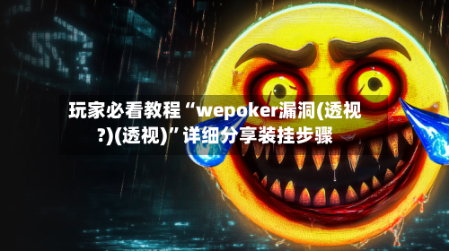 玩家必看教程“wepoker漏洞(透视?)(透视)”详细分享装挂步骤-第1张图片