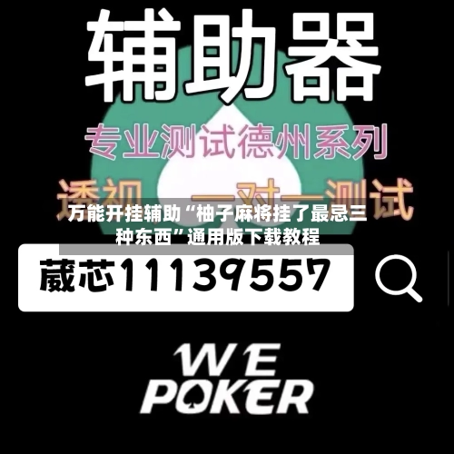 万能开挂辅助“柚子麻将挂了最忌三种东西”通用版下载教程-第2张图片